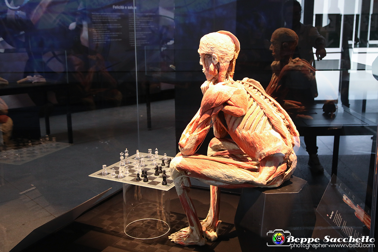 VBS_2965 - Mostra Body Worlds.jpg